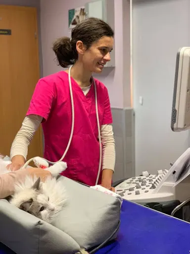 Przychodnia Weterynaryjna - EKOVET